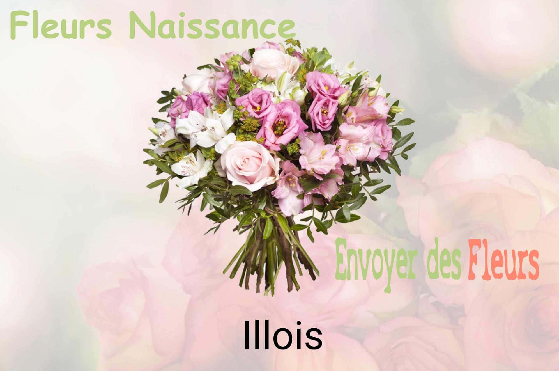 Bouquet de fleurs de naissance livré à Illois