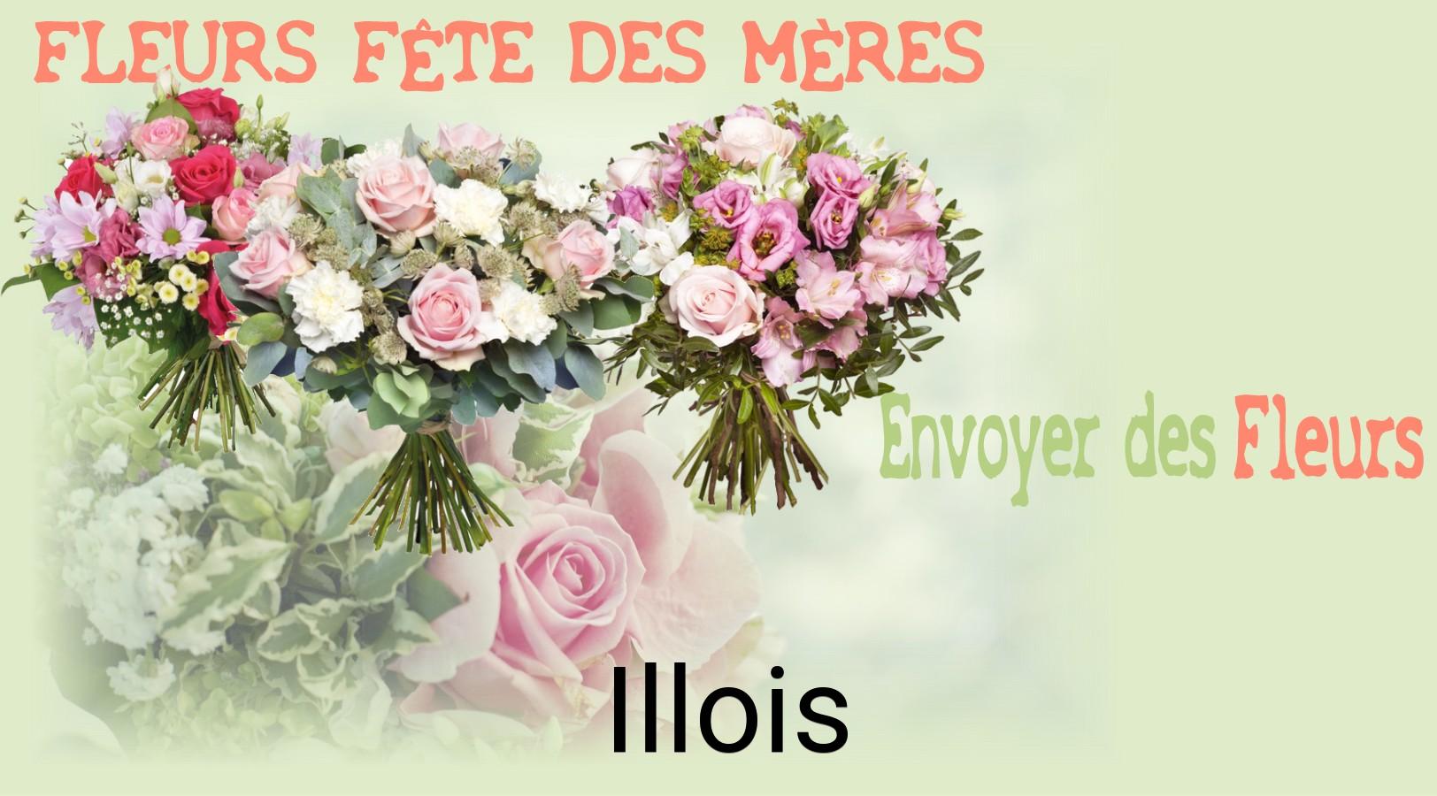 Bouquet de Fête des Mères livré à Illois